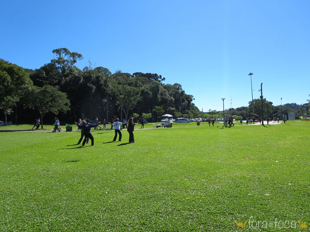 um grupo pratica taichi no gramado do Parque Barigui