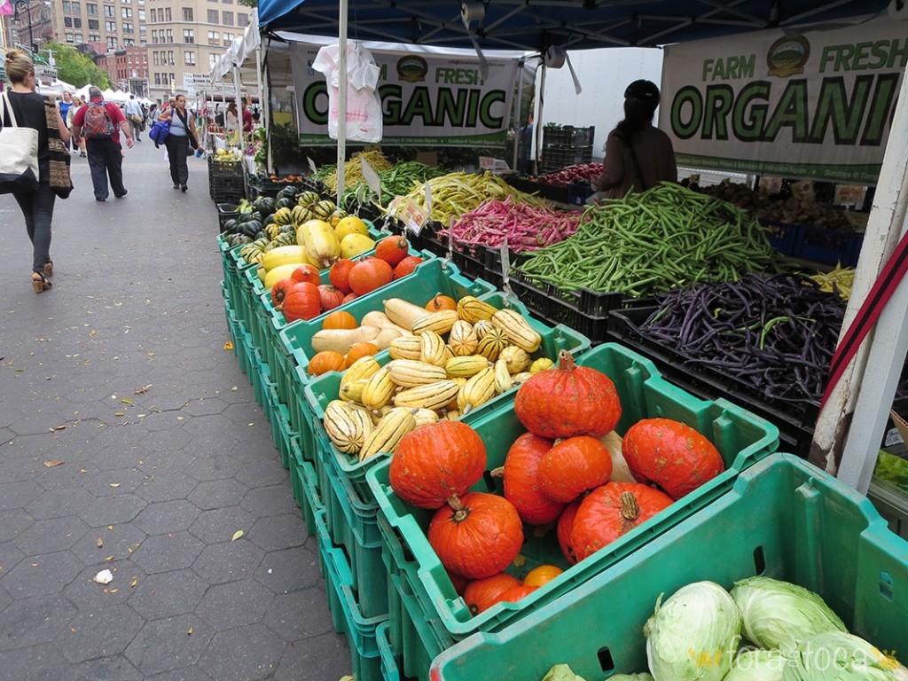 diversos legumes em uma banca orgânica na feira da Union Square