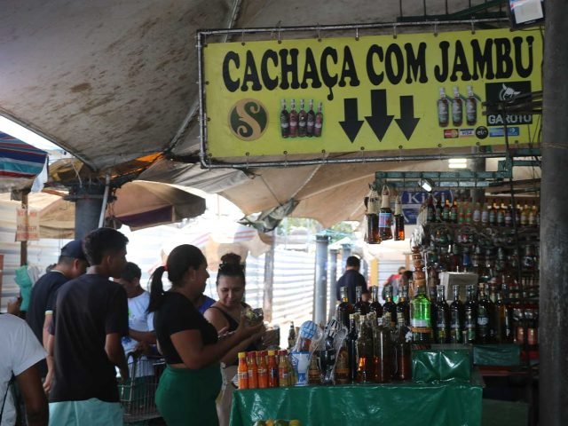 fora-da-toca-onde-fazer-compras-em-belem_042