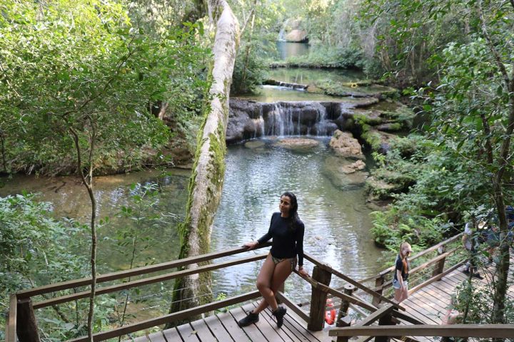 fora-da-toca_do-brasilis-ao-brasil_bonito-pantanal_26